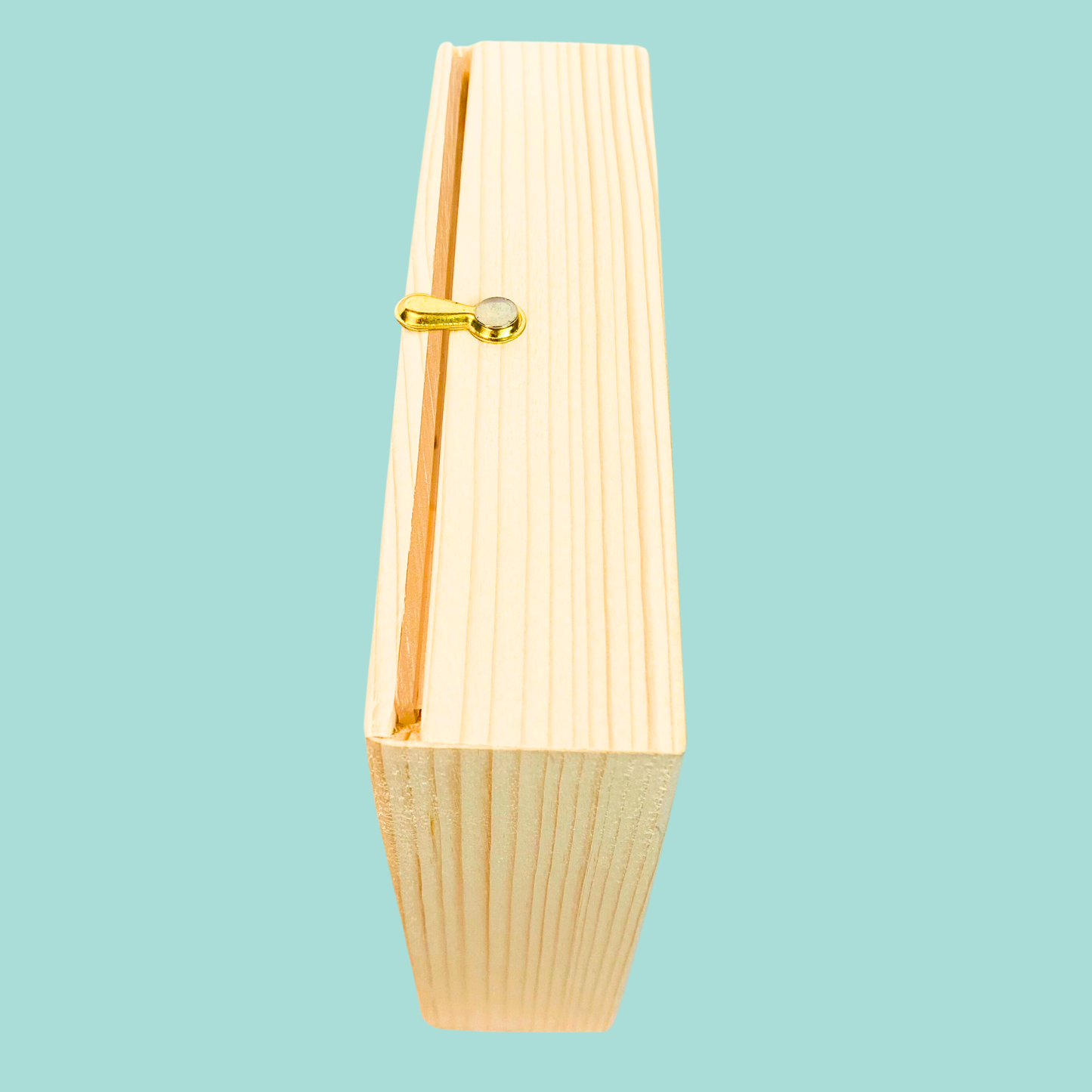 Personalised Wooden Piggy Bank