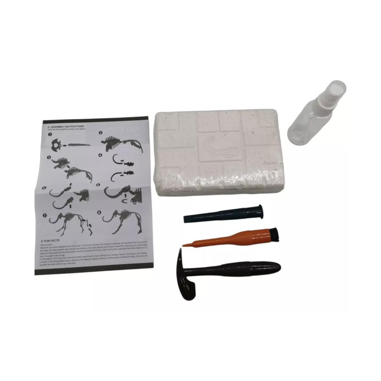 Archeological Excavating Dinosaur Digging Fossil Kit  + Tools