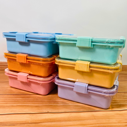 4 - Compartment Stainless Steel Tiffin Lunch Box