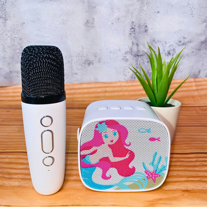 Mini Karaoke Speaker Kit