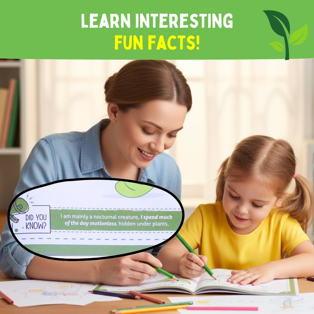 PEPPLAY STEP BY STEP DRAWING BOOK- INCREDIBLE INSECTS