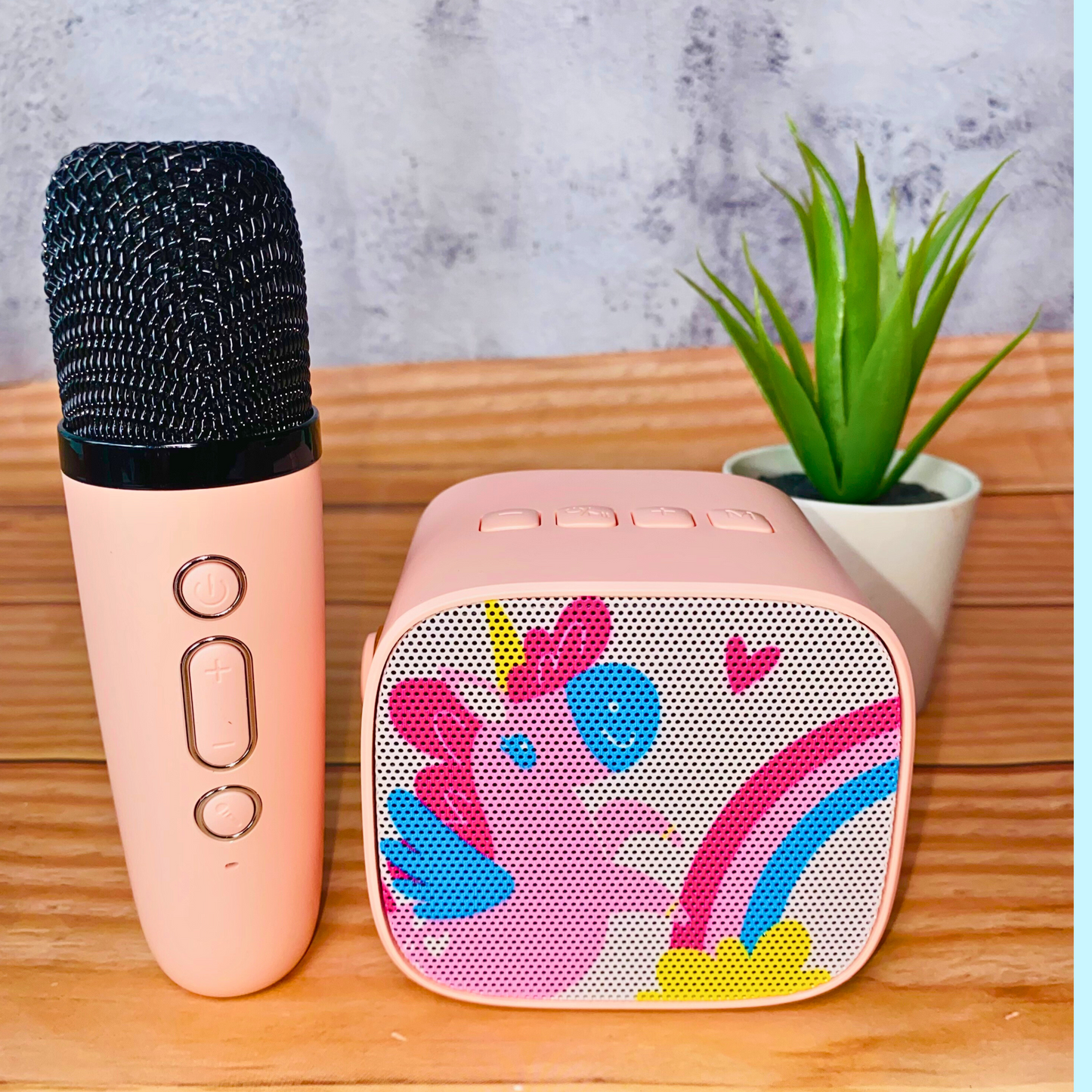 Mini Karaoke Speaker Kit