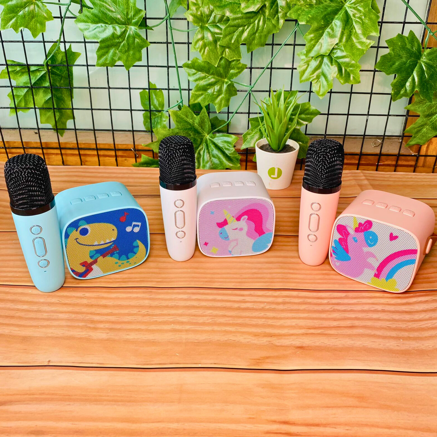 Mini Karaoke Speaker Kit