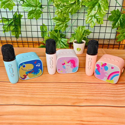 Mini Karaoke Speaker Kit
