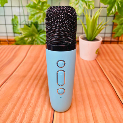 Mini Karaoke Speaker Kit