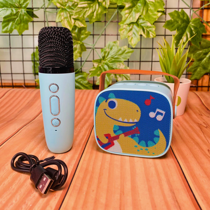 Mini Karaoke Speaker Kit