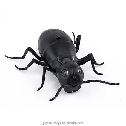 Remote Control Giant Ant and Spider Game for Kids