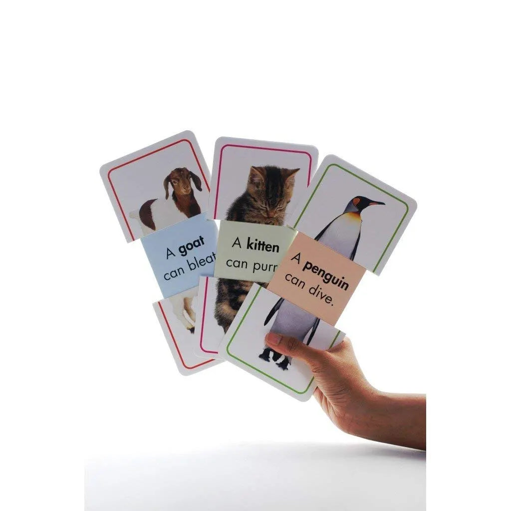 Building Blocks Slide & Learn Flash Cards Alphabet