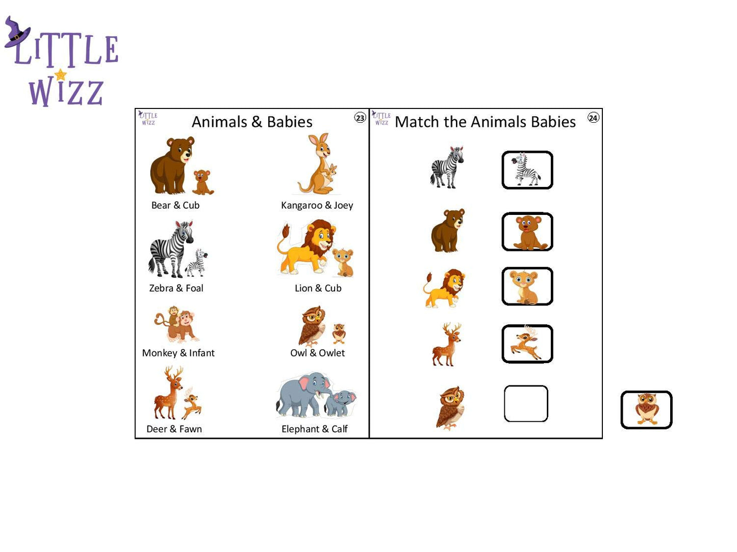 Little Wizz Level 1 Book