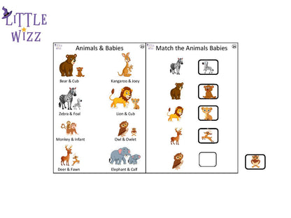 Little Wizz Level 1 Book