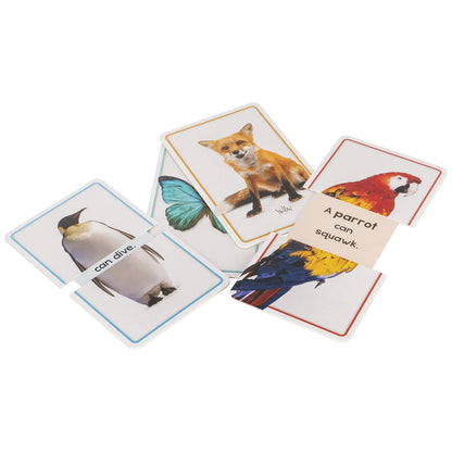 Building Blocks Slide & Learn Flash Cards Alphabet
