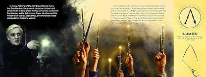 Wand Chooses the Wizard: A First Book for Babies