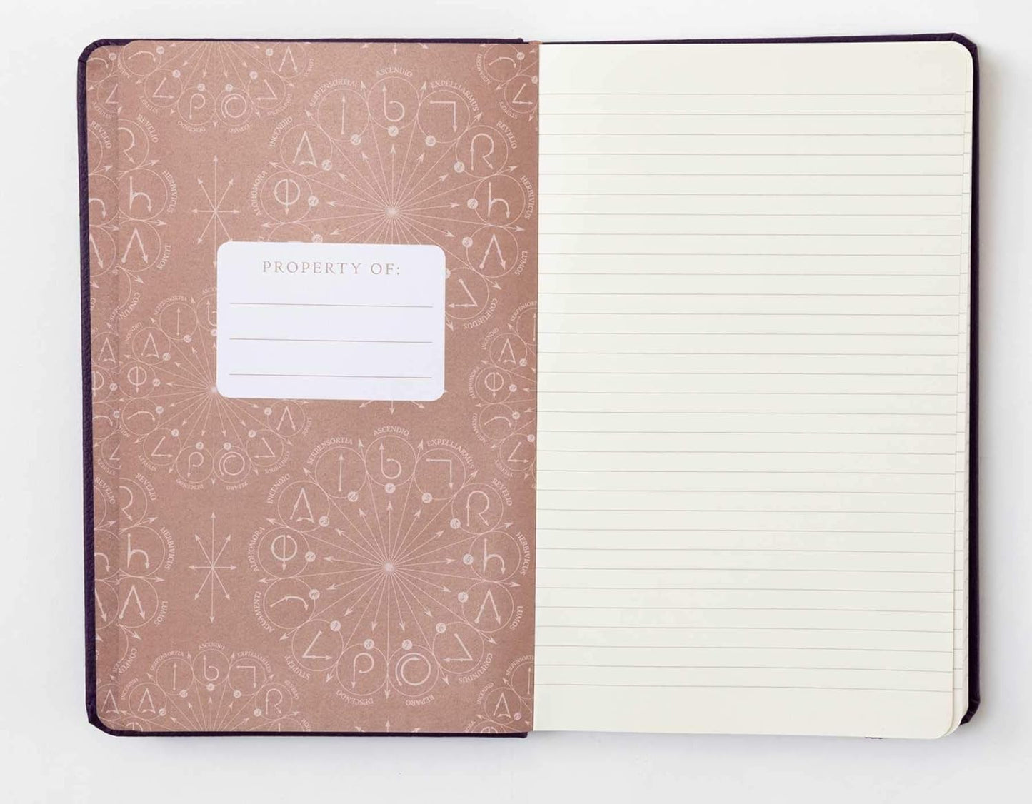 Dumbledore's Army Ruled Journal