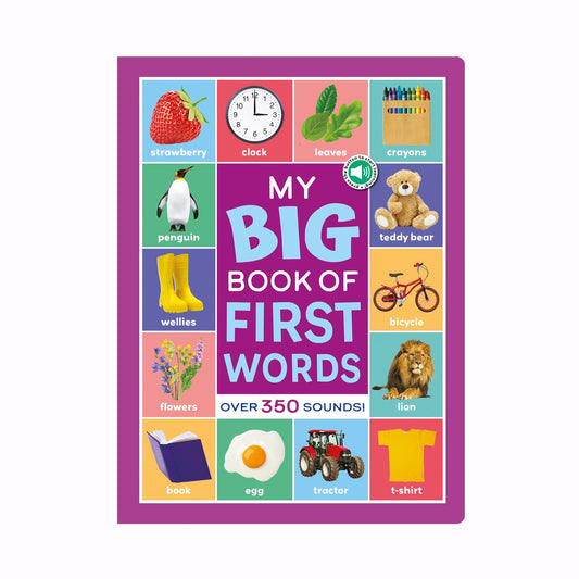 Kids Multi Sensor Sound Books