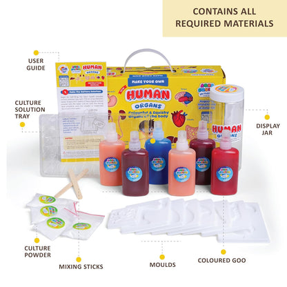 DIY Science Human Organs Aqua Squish Kit - Multicolour