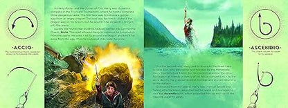Wand Chooses the Wizard: A First Book for Babies