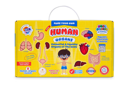 DIY Science Human Organs Aqua Squish Kit - Multicolour