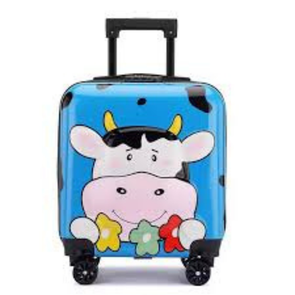 Kids Carry On Luggage with Wheels