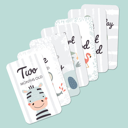 Baby Milestone Card Set