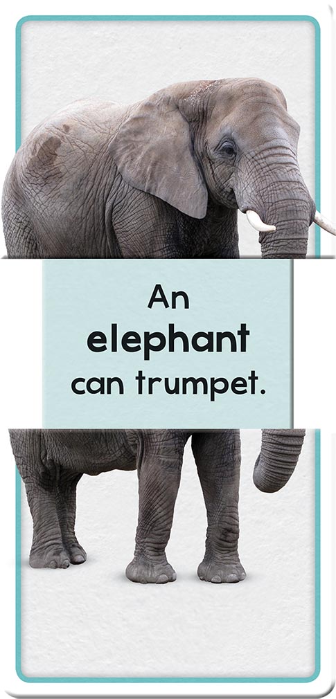 Building Blocks Slide & Learn Flash Cards Alphabet