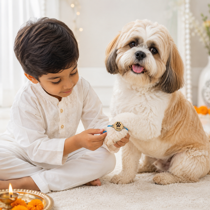Babble Wrap FurEver bond Rakhi