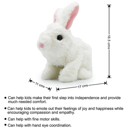 Soft and Fluffy Walking Toys for Kids