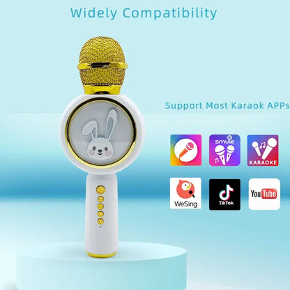 Karaoke Speaker Microphone