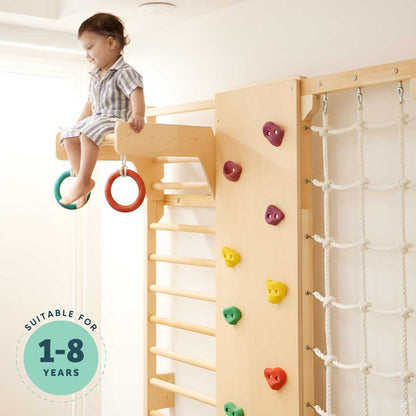 Wall Mounted Jungle Gym