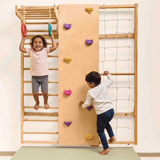 Wall Mounted Jungle Gym