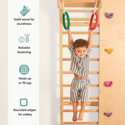 Wall Mounted Jungle Gym