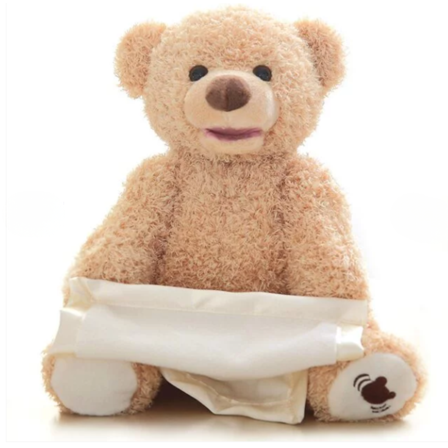 Peek A Boo Bear