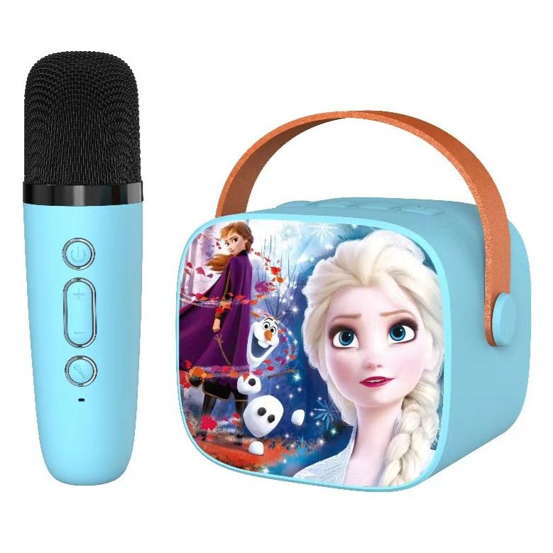 Mini Karaoke Speaker Kit