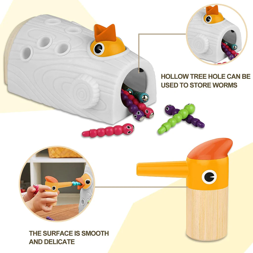 Woodpecker Feeding and Learning Toys, Magnetic Worm Game