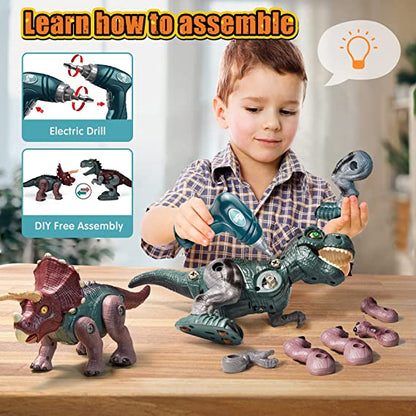 DIY RC Assemble Dinosaur Planet